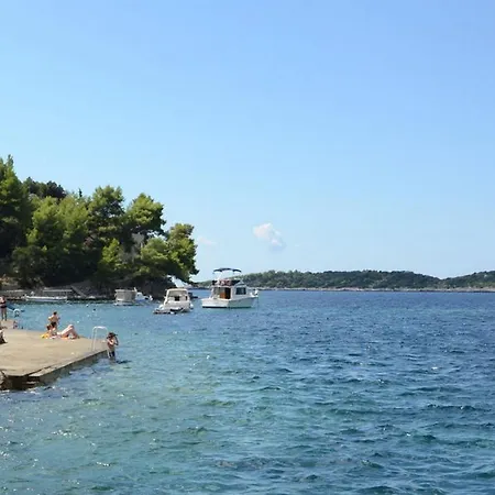 Rogac Korčula
