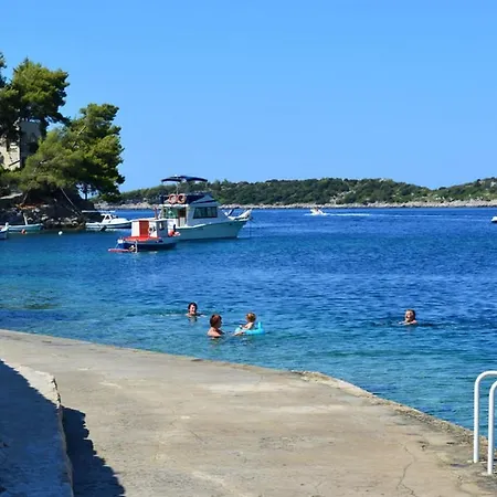 Rogac Korčula